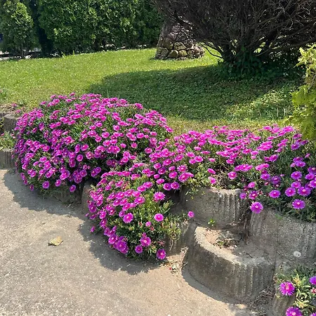 Vila Lago Aparthotel